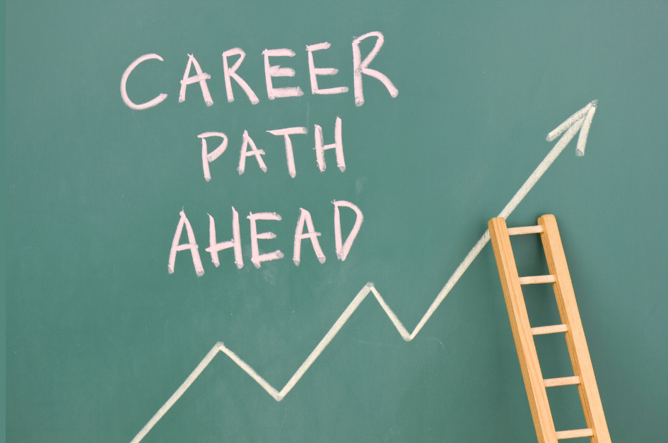 Career path visual