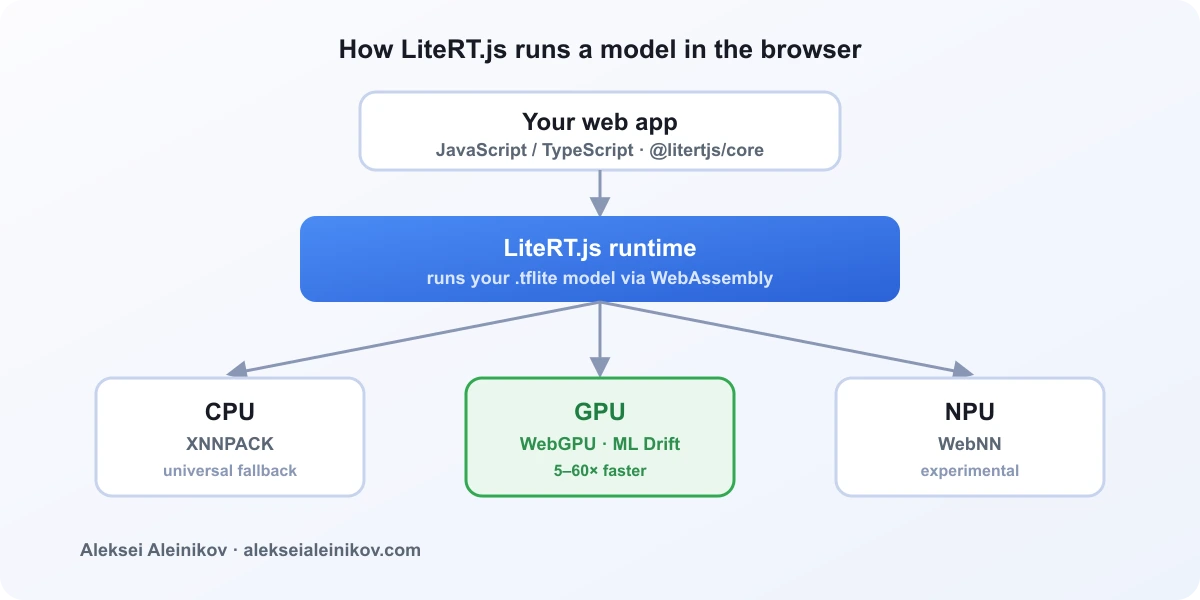 LiteRT.js-Inferenz-Stack: deine Web-App ruft das Runtime auf, das an CPU-, GPU- oder NPU-Backends verteilt.